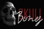 Sonstylee Handbrush Font