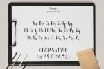 Sonya Script Font