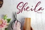 Sophie Robinson Font