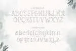 Sorreal Font