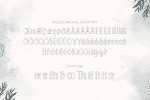Sorreal Font