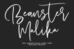 Soul Harder Font