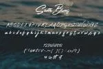 South Blues Script Font