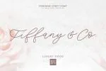 Southwide Calligraphy Font