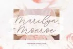 Southwide Calligraphy Font