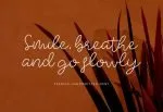 Sparkle Stylish Handwritten Font