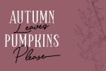 Sparkling Bright - Beauty Font Duo