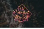 Speakup Script Font