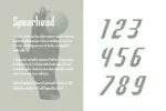 Spearhead