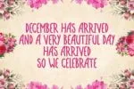 Special Christmas Font