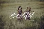 Spectacular Script Font