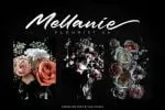 Speedline Font