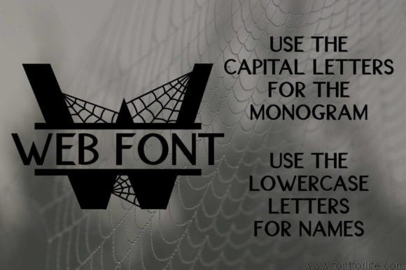 Spider Web Split Font