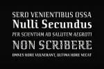 SpiderCave Font Family