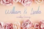 Spike Font
