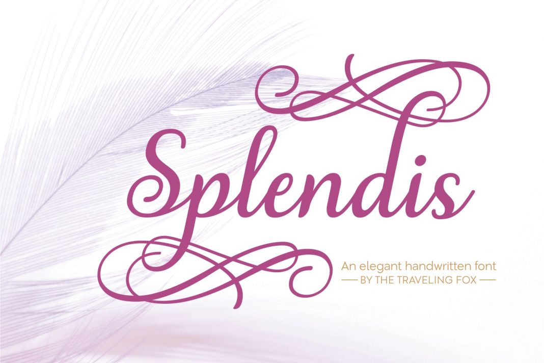 Splendis Font