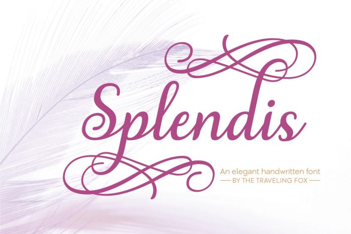 Splendis Font