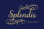 Splendis Font