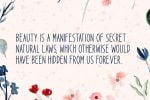 Spread Beauty Font