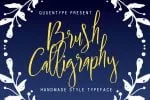 Sprightful Typeface Font