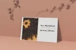 Spring Daisy Font