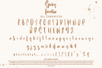 Spring Vacation - Relax Handwritten Font