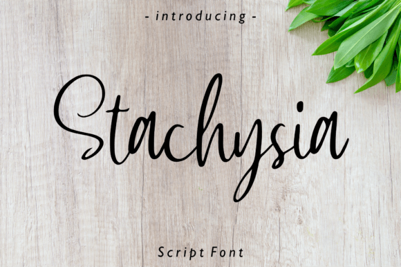Stachysia Font