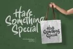 Stacylia Font