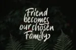 Stacylia Font