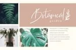 Stadella Signature Script