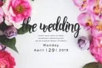 Stainella Script Font