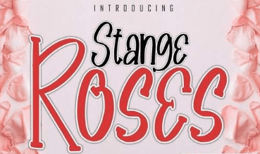 Stange Roses A Playfull Display Font