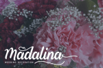 Staniki Font