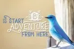 Starchild Font