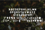 Starko Font