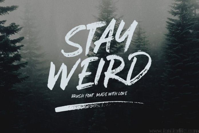 Stay Weird Brush Font Swashes Font