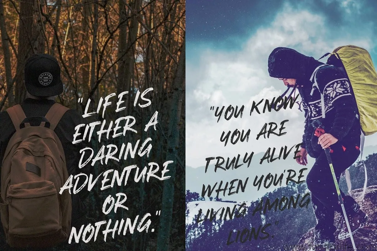 Stay Weird Brush Font Swashes Font