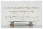 Stayer Font
