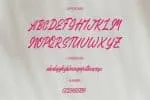 Stefina Signature Font