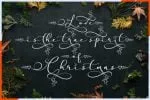 Stella Font