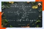 Stella Font