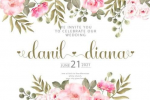 Stella - Modern Lovely Script Font