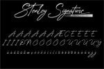Stenley Signature - Modern Script Font