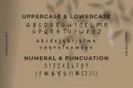 Stephalli Script Font