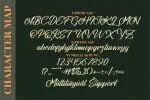 Stephenson Brandon Font