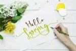 Stevania Font