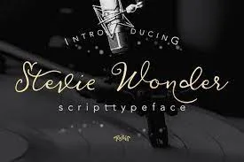 Stevewonder Script 40% Font