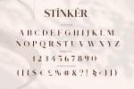 Stinker - Elegant Serif Family