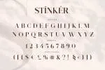 Stinker - Elegant Serif Family