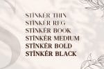 Stinker - Elegant Serif Family